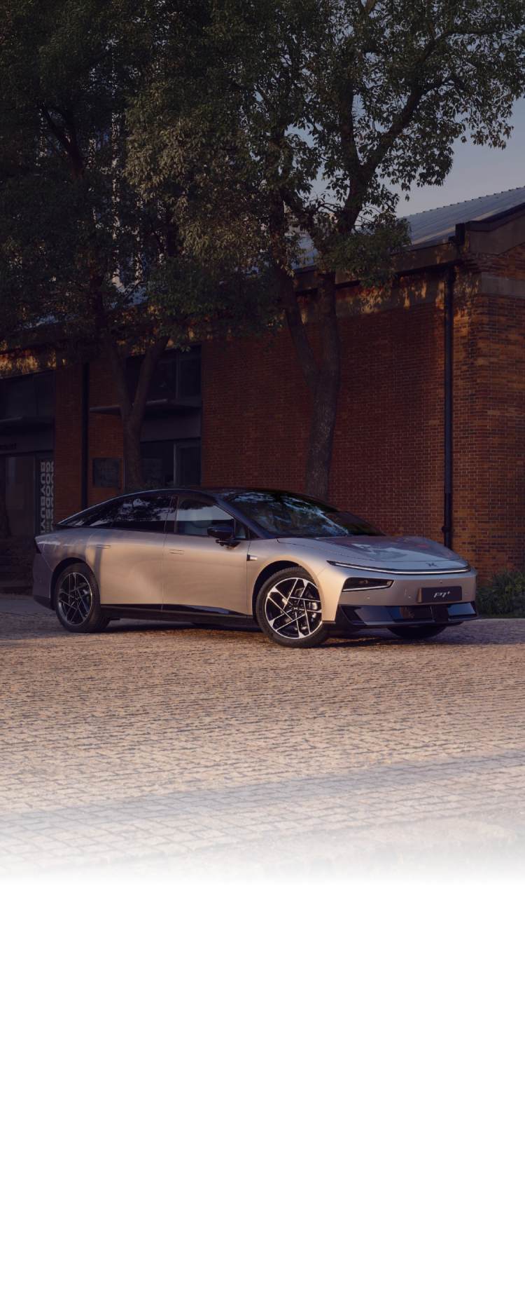 XPENG G9 Technology Mobile
