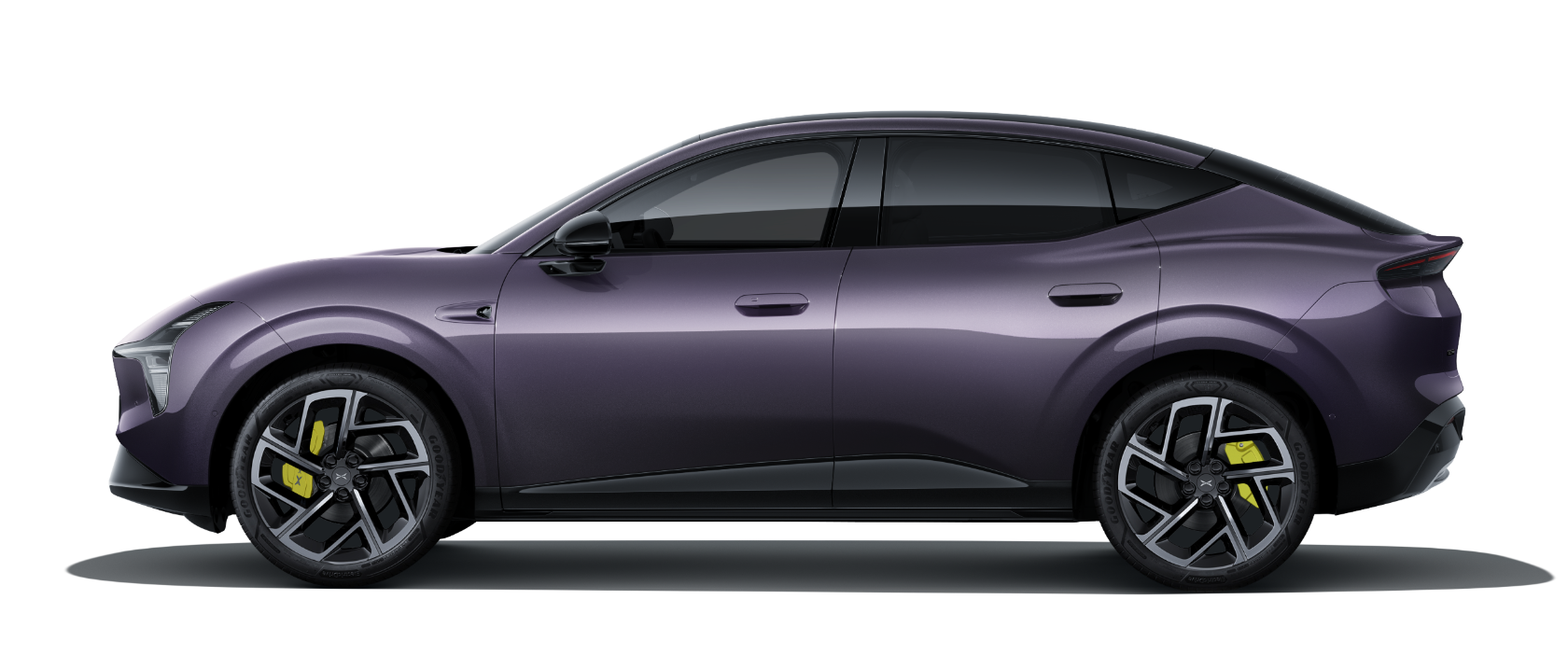 L03 - Phantom Purple